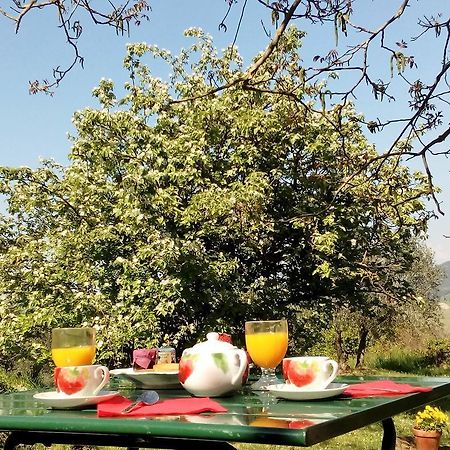 Villa Il Palazzino Volterra Kültér fotó