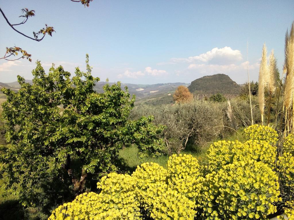 Villa Il Palazzino Volterra Kültér fotó